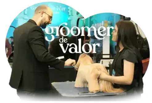 Capa Graduação Groomer de Valor